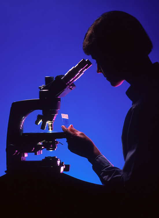 Research Institutes