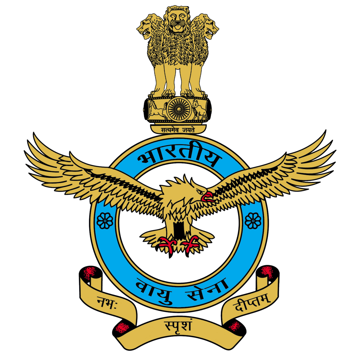 Indian Air Force (Delhi)